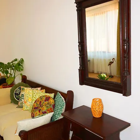 зоя от 1903 게스트하우스 카바르나