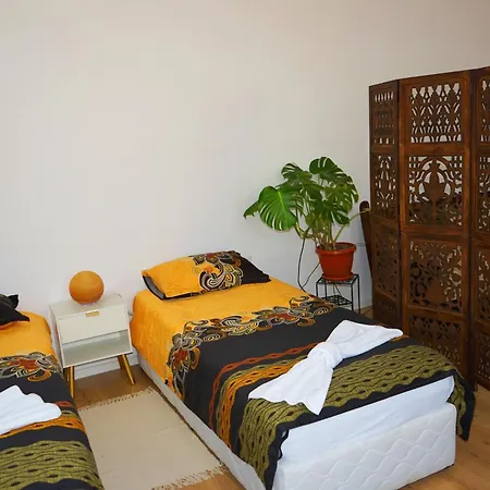 зоя от 1903 3* 카바르나