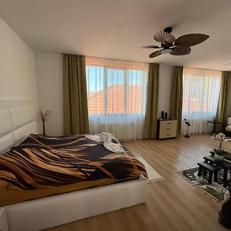 зоя от 1903 카바르나