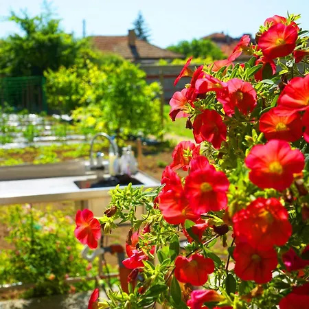 зоя от 1903 게스트하우스