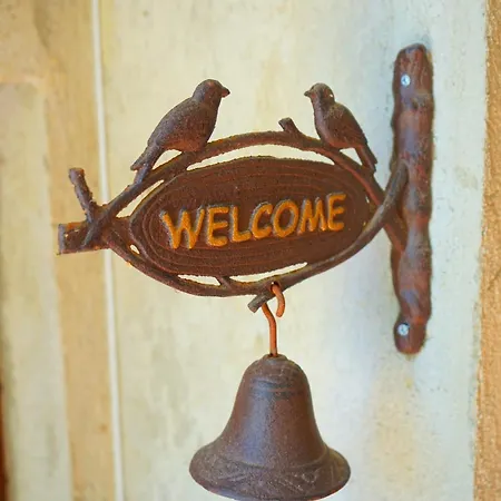 зоя от 1903 카바르나