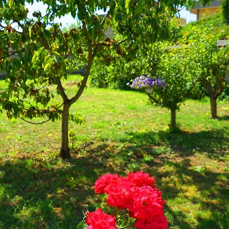 зоя от 1903 Maison d'hôtes 3*