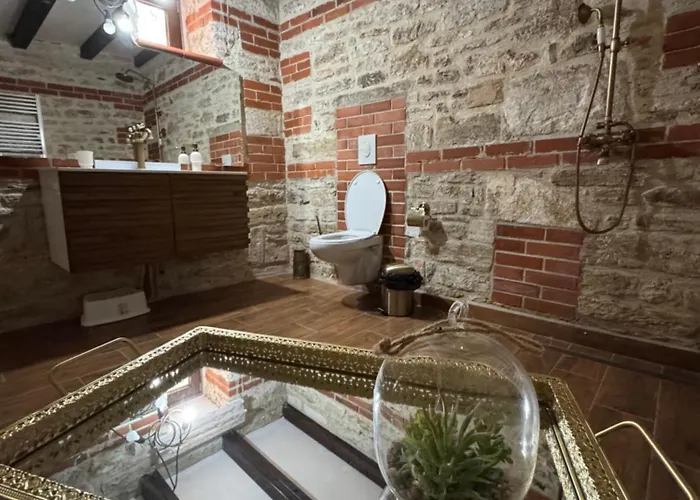 ゲストハウス зоя от 1903