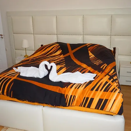 зоя от 1903 3* Kavarna