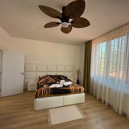 зоя от 1903 Kavarna