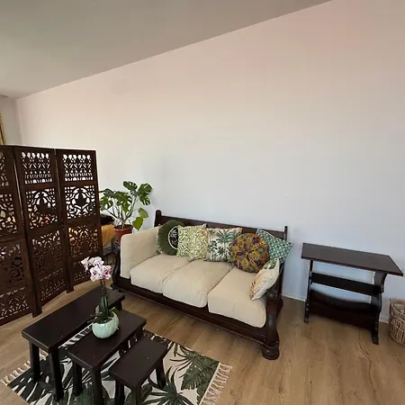 зоя от 1903 Gæstehus Kavarna