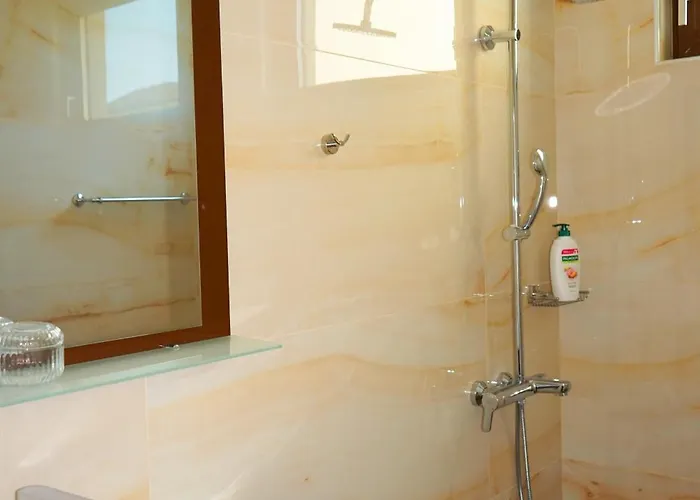 зоя от 1903 Kavarna