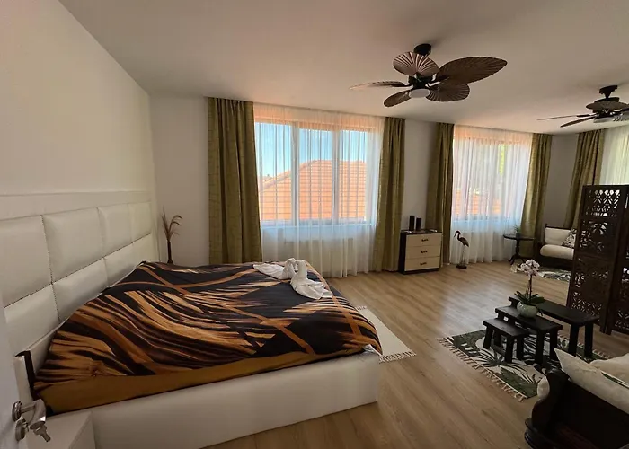 зоя от 1903 Kavarna