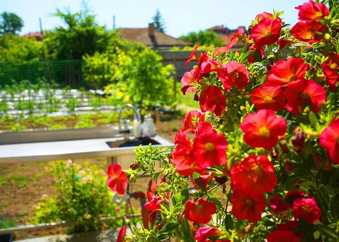 зоя от 1903 Guest house