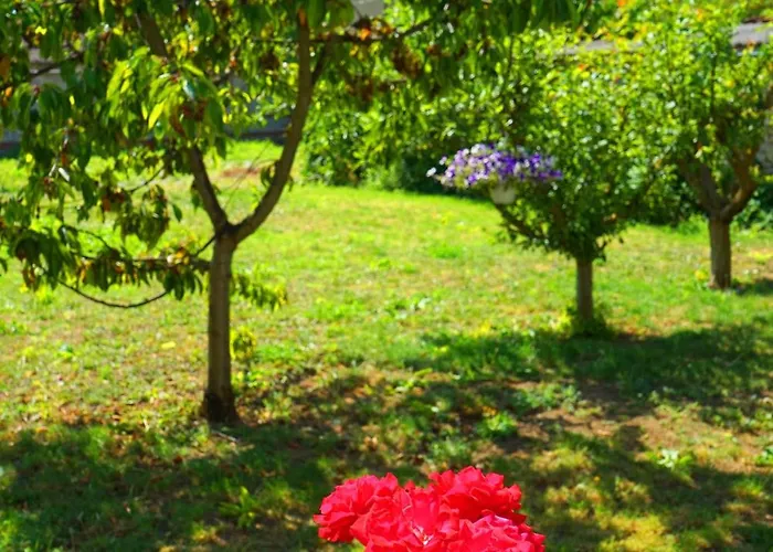 зоя от 1903 Guest house 3*